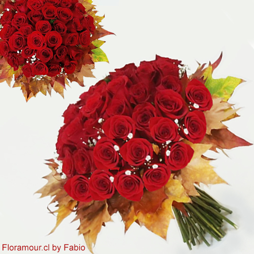 Impresionante Ramo de Lujo atado con 50 rosas agrupadas bordeadas con hojas secas. Dise�o exclusivo de Floramour by Fabio Reyes. (S�lo Santiago) Seleccione color